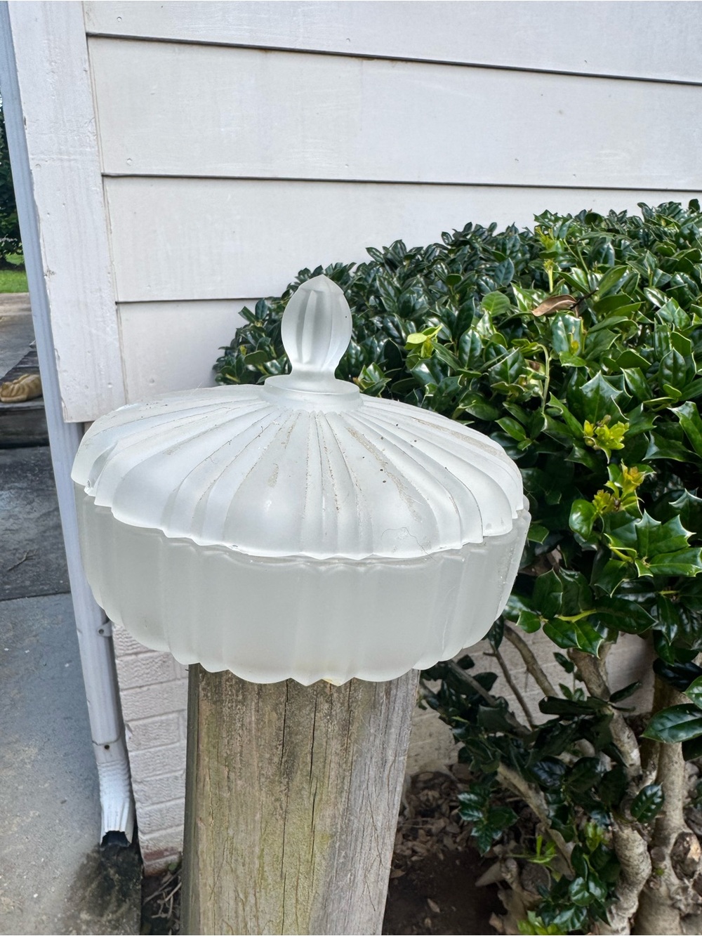 Frosted Glass Decorative Light Shade - White